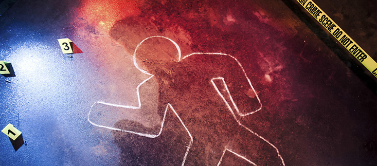 What is First Degree Murder in Florida Statute 782.04(1)(a)?