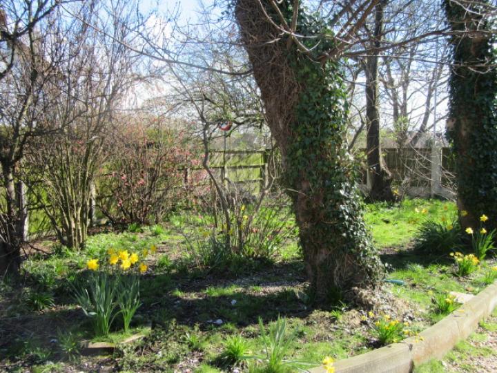 29 DUKE STREET, FORMBY Smith and Sons