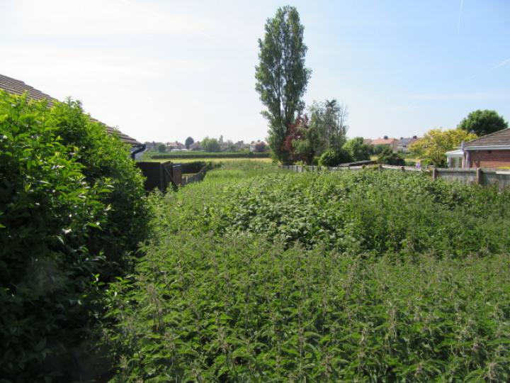 LAND ADJOINING 70 MEADOWBROOK ROAD, MORETON Smith and Sons