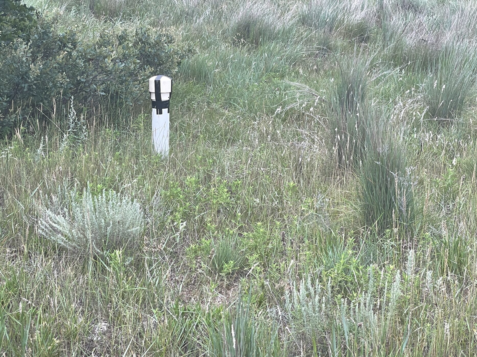 80 Acres of Woodward Co. Land FOR SALE! Smith & Co Auction and Realty, Inc.