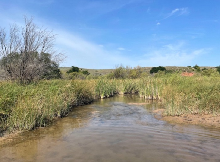 1,551 +/ Acres of Harper Co. Land FOR SALE! Smith & Co Auction and