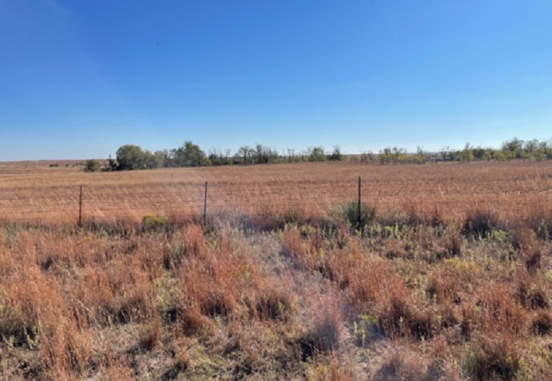 160 Acres of Ellis County Land FOR SALE! Smith & Co Auction and