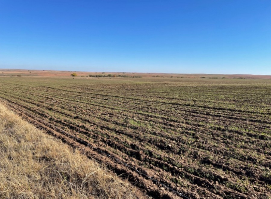 160 Acres of Ellis County Land FOR SALE! Smith & Co Auction and