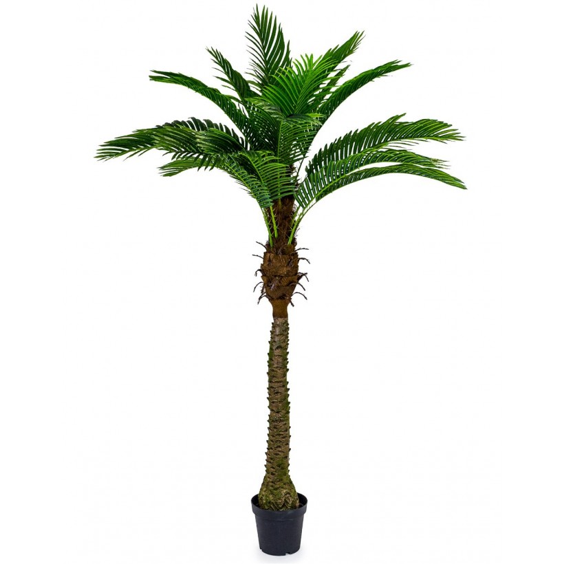 Artificial Palm Trees Smithers of Stamford • UK, US & Canada