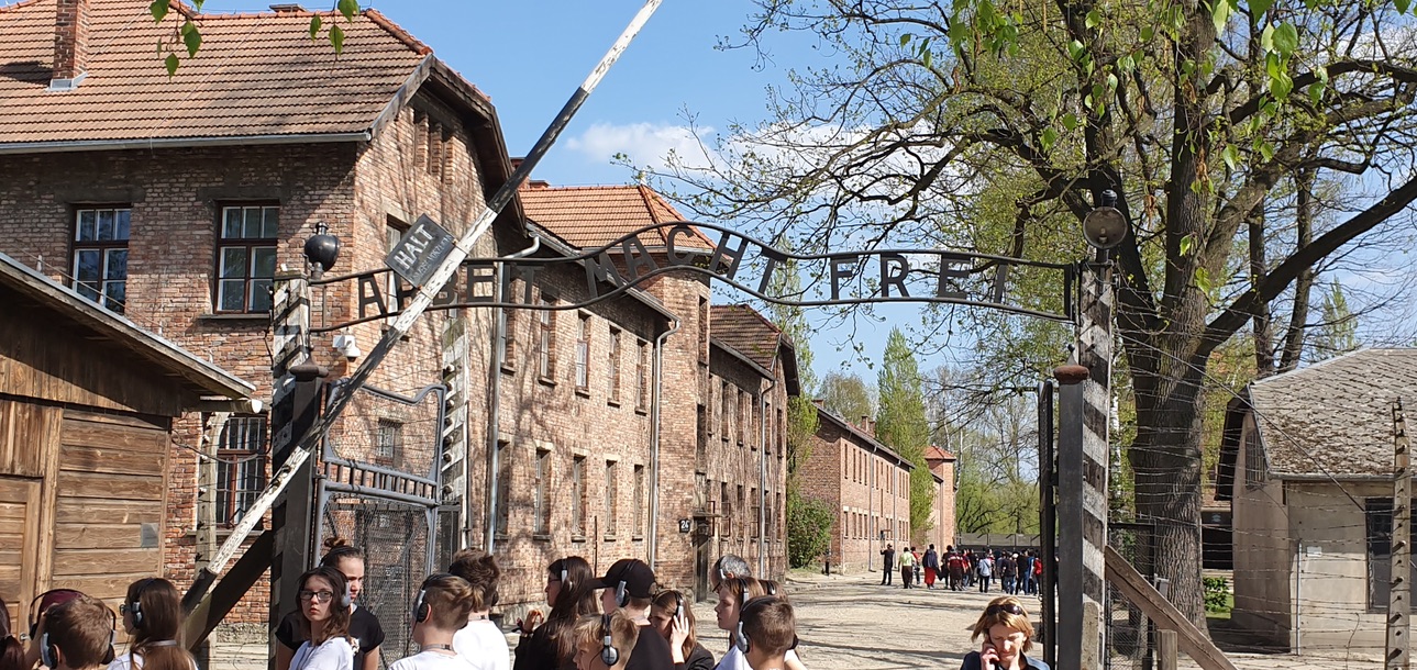 Arbeit Macht Frei... Il Lavoro Rende Liberi" (Un Pensiero Per Ricordare) - Sm Kolbe 610_x_1289_jpg