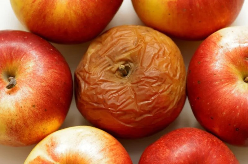 How to Keep Apples From Turning Brown? Discover the Ultimate Hack!