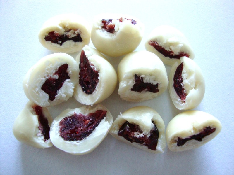 Greek Yogurt Covered Craisins Dried Cranberries SNACKEROO