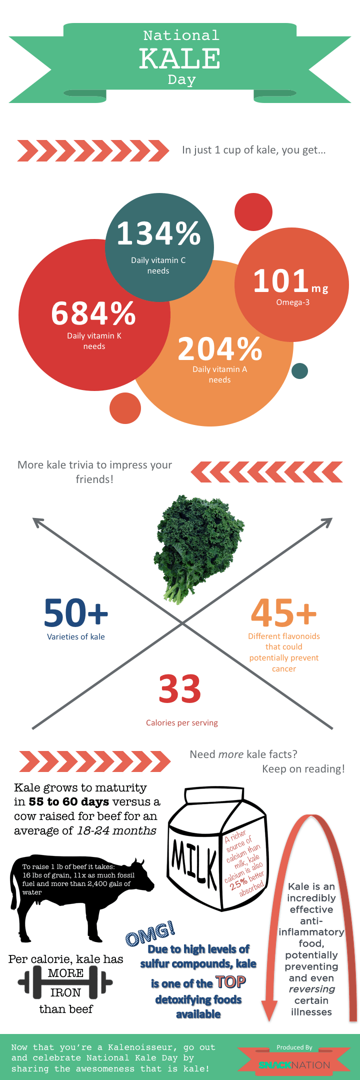Happy National Kale Day A Nutritional Infographic to Share