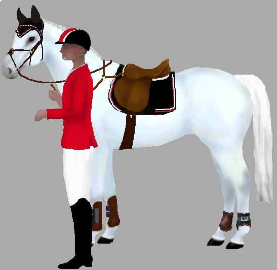 Snafflez' HorseMaker Design and Dress Up your Horse and Rider for Show
