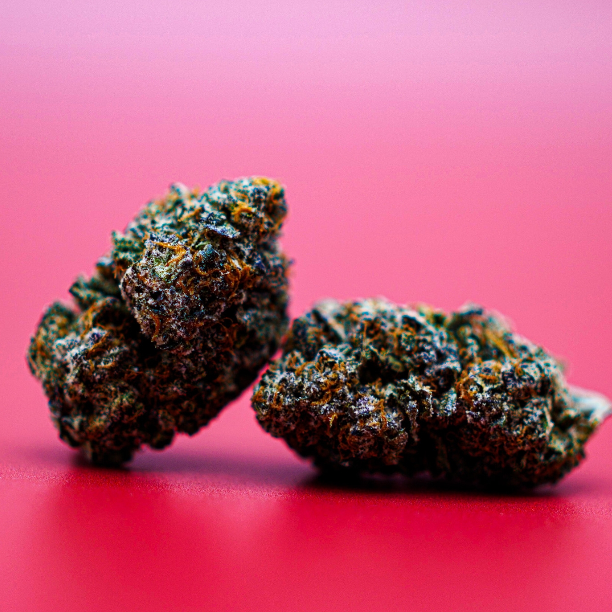 TopShelf THCA Hemp Flower Snapdragon Hemp