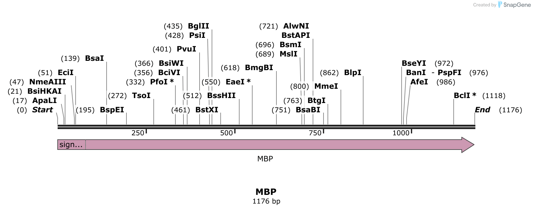 MBP Sequence and Map