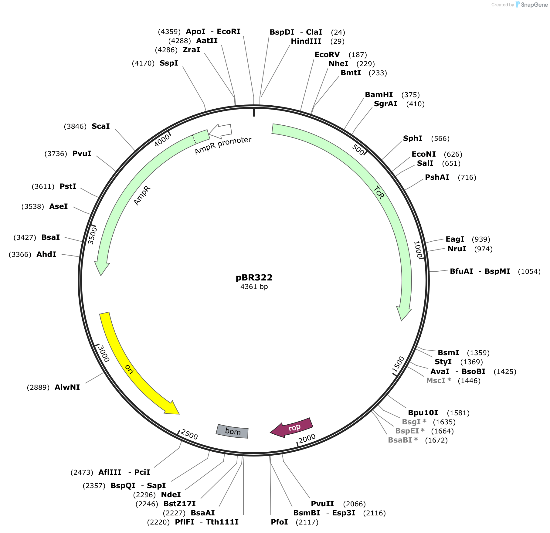 pBR322 Sequence and Map