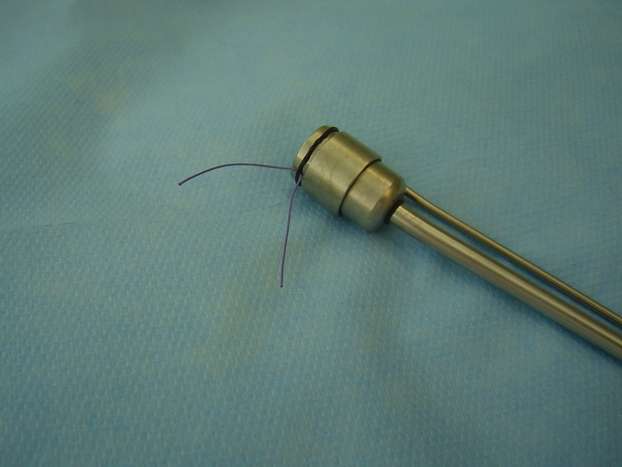 Ligature Hemorroide Sport at Wanda Downs blog