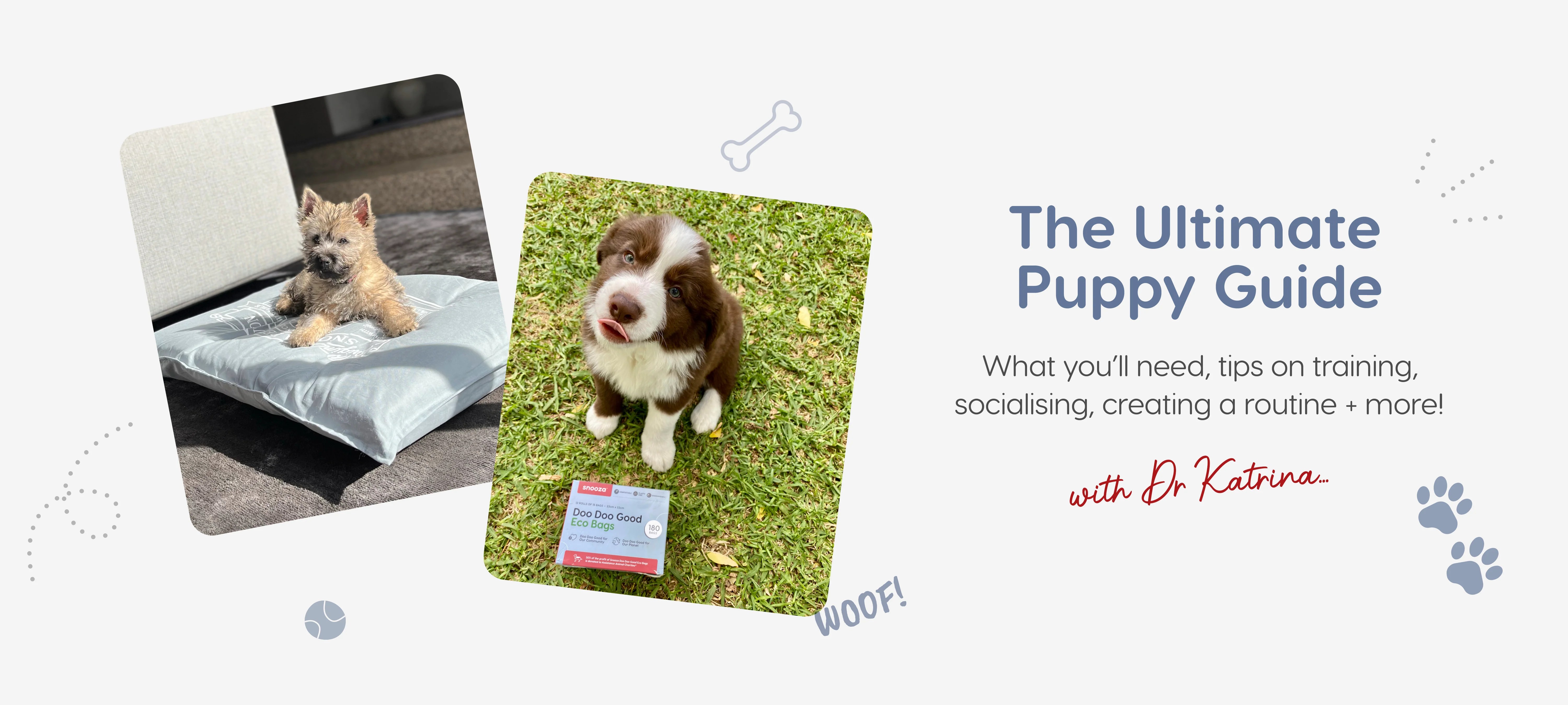 The Ultimate Puppy Guide Snooza Pet Products