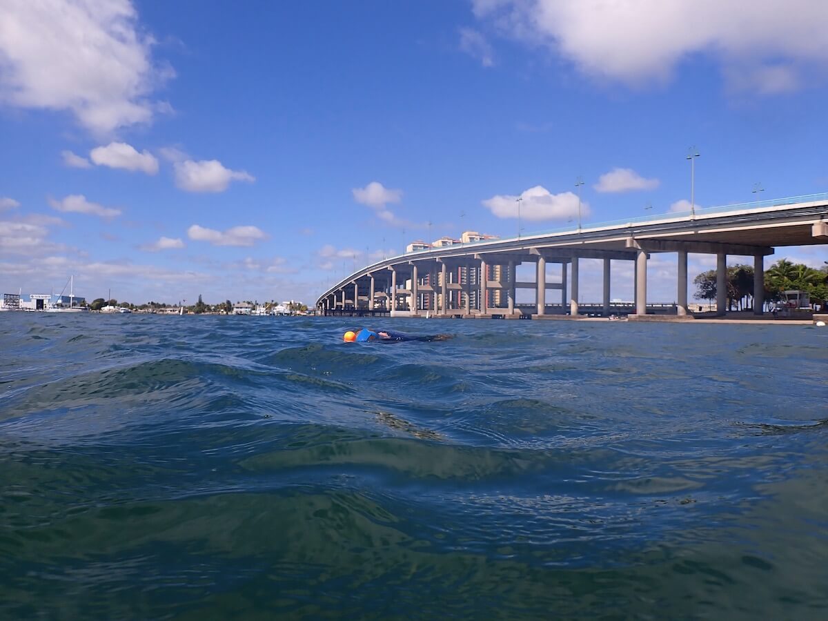 Snorkeling Blue Heron Bridge/Phil Foster Park (Riviera Beach