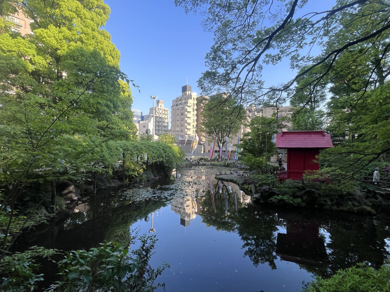 Walking Tour in Yanaka, Nezu and Sendagi Experience Tea Ceremony and