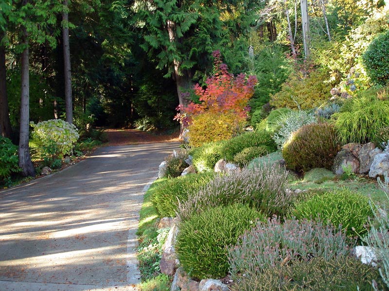 Photo Gallery of our Gibsons Oceanfront Suite. Located on the Sunshine