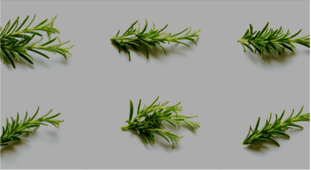 Rosemary Spanish Essential Oil Soap Art