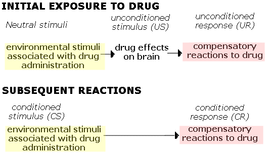 Classical Conditioning and Addiction • Sober Nation