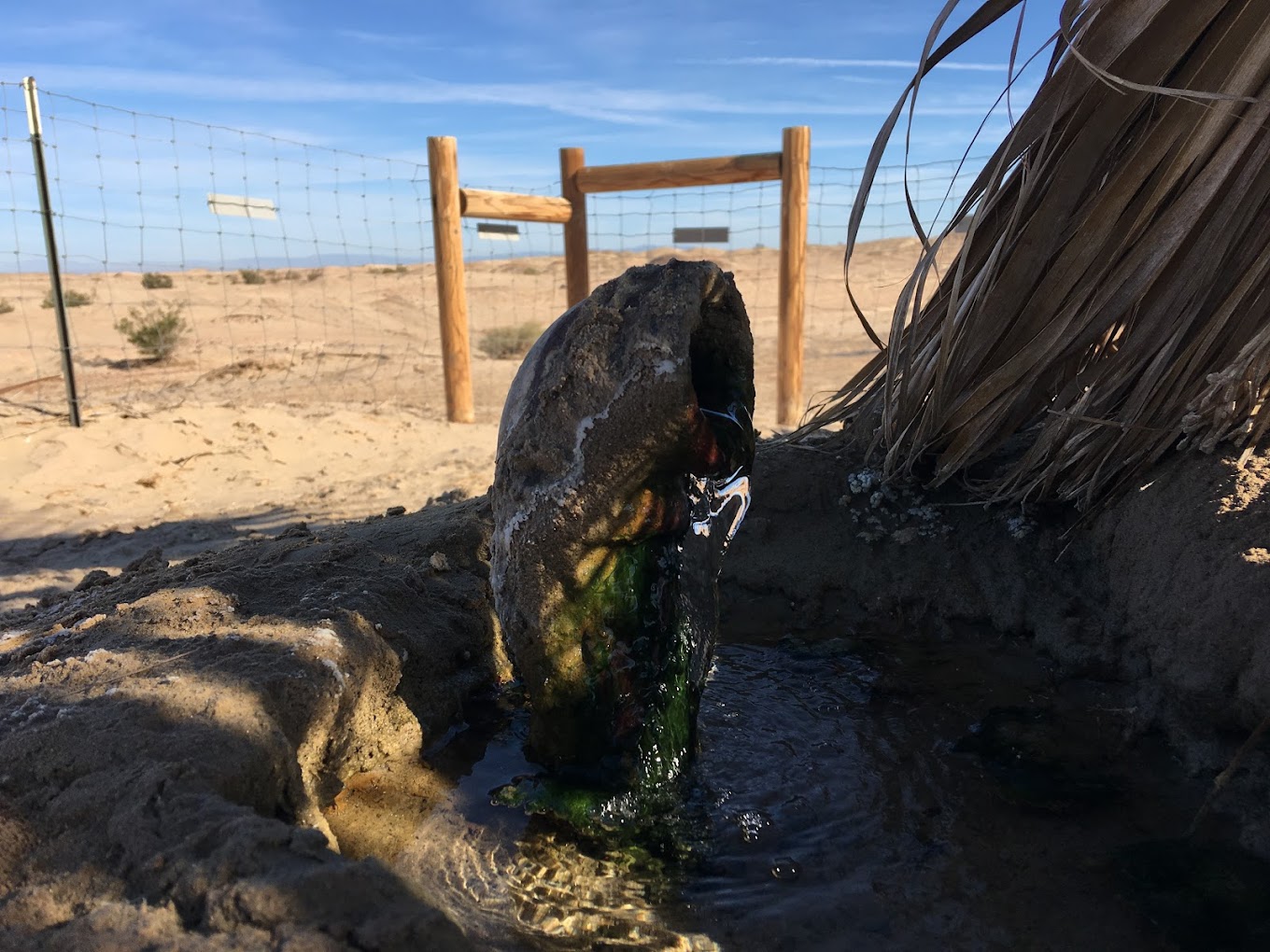 Artesian Well of Ocotillo Wells The Oil to Geothermal Platform of 1919
