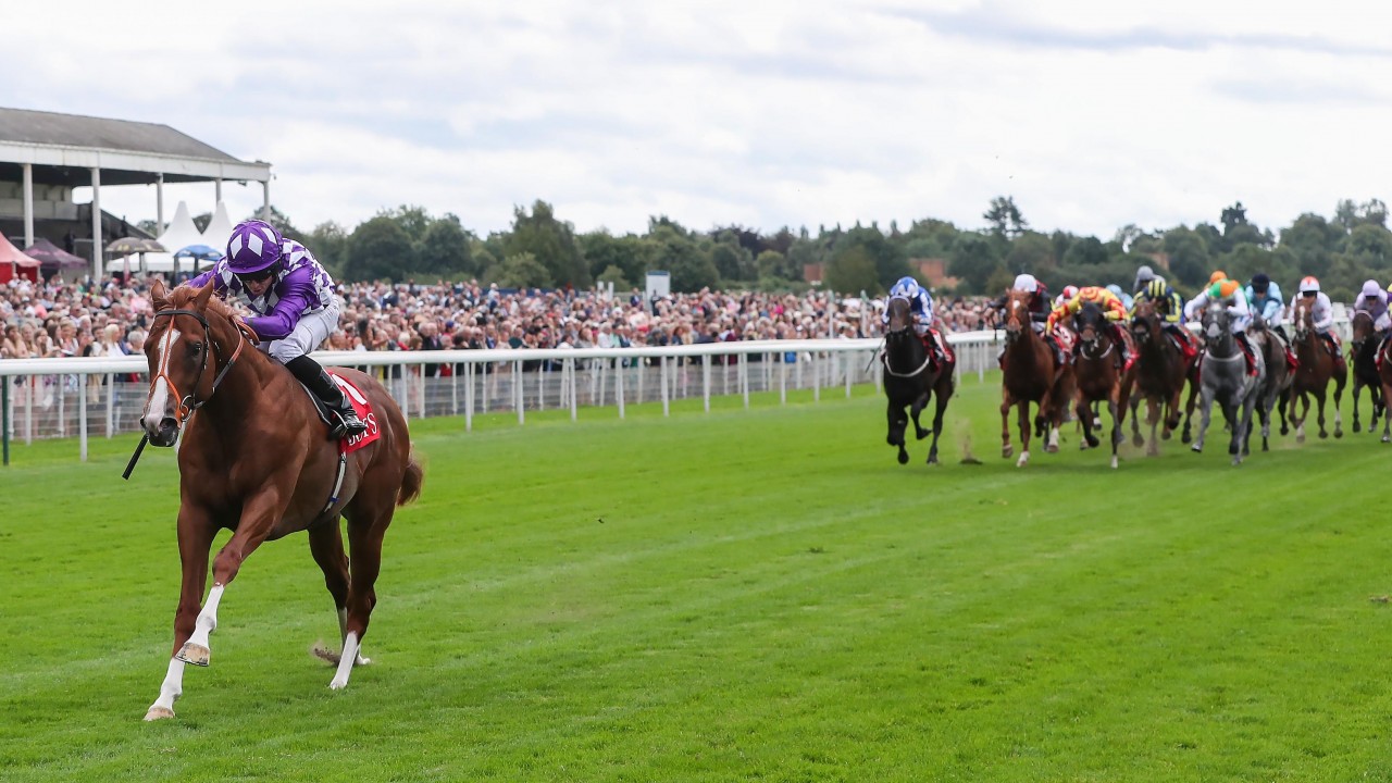 Soccer Blog The EPL is looking like a one horse race