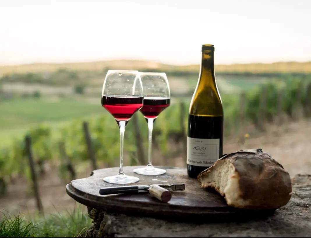 The Best French Wines of 2024 Sochic French Guide Shopping, Dining