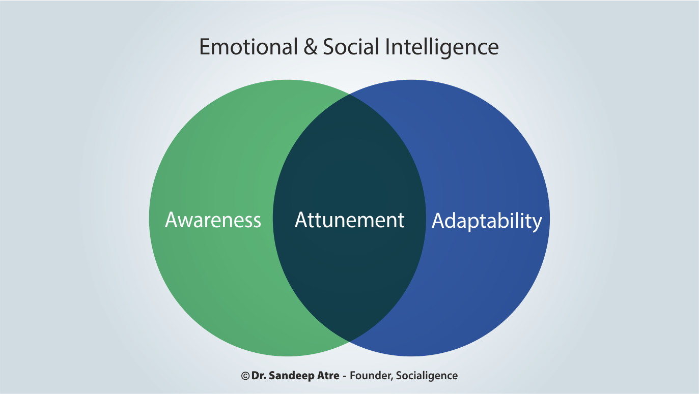 Understand The Concept Of Emotional & Social Intelligence With Socialigence