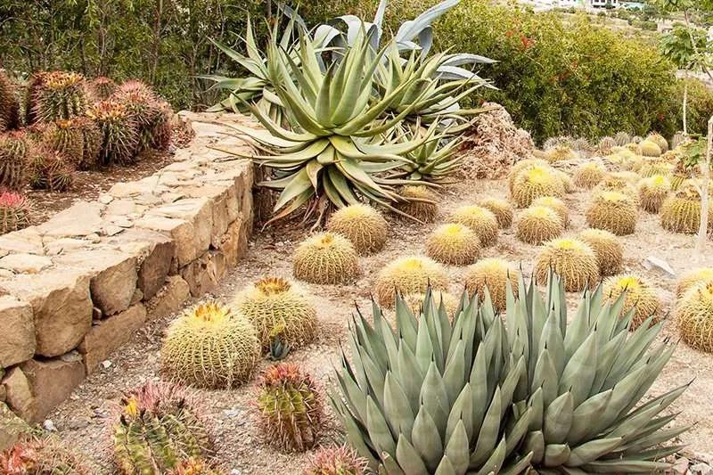 Native Plants Southland SOD Farms