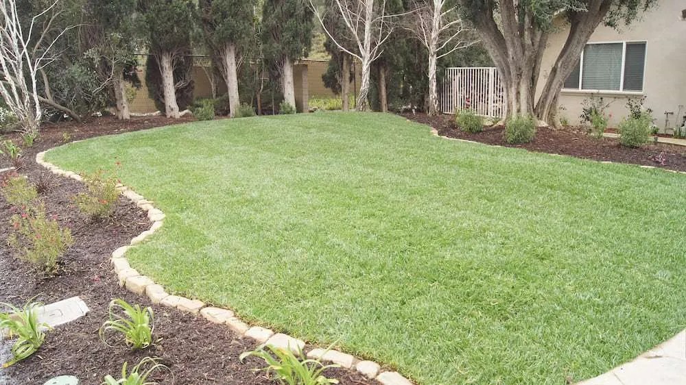 Order Marathon Sod Online Southland SOD Farms