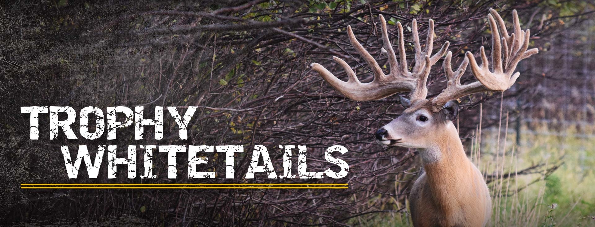 South Dakota High Fence Hunting Ranch Guaranteed Whitetail Hunts SD