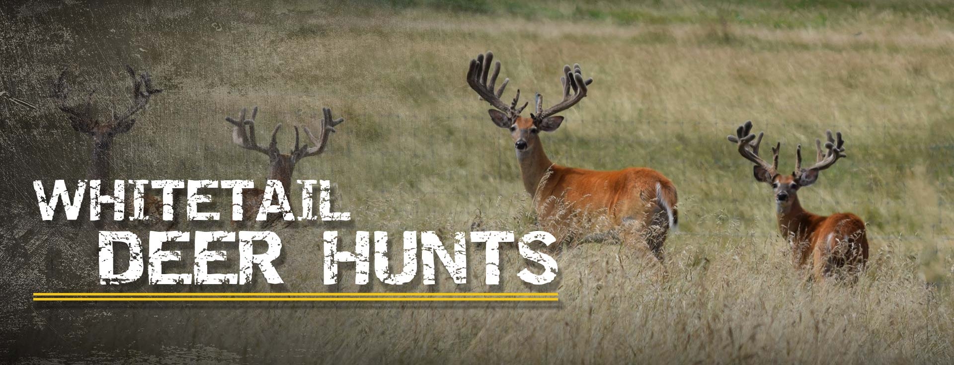 South Dakota High Fence Hunting Ranch Guaranteed Whitetail Hunts SD
