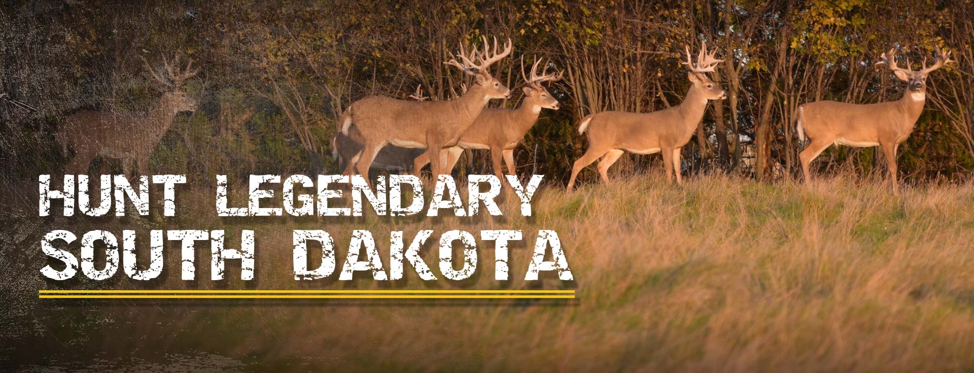 South Dakota High Fence Hunting Ranch Guaranteed Whitetail Hunts SD