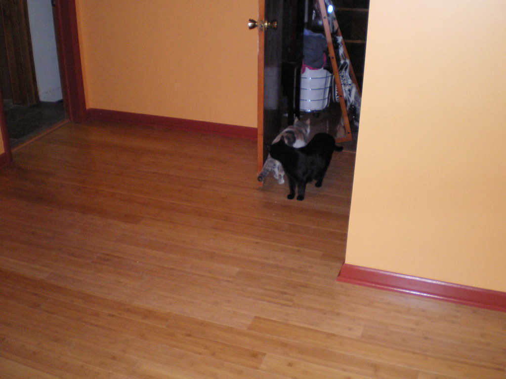 Bamboo Vs Laminate Flooring Soder Homes