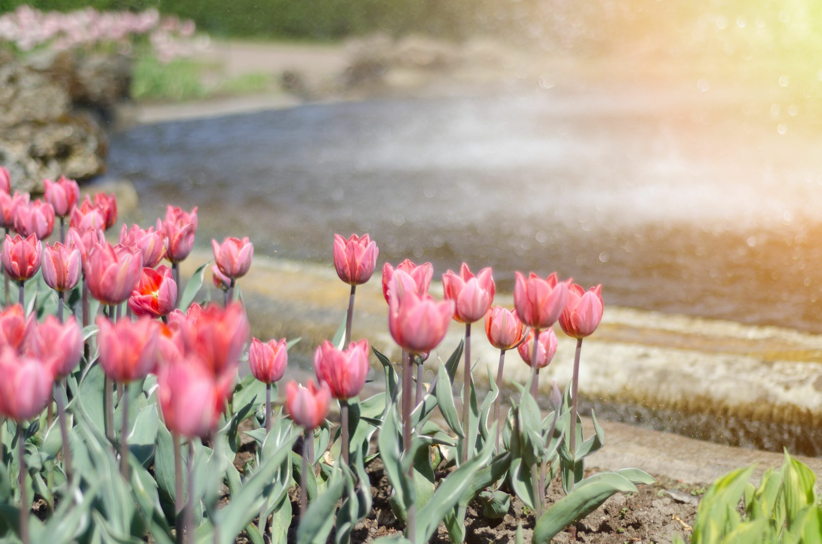 April Showers Bring May Flowers Sodoma Law