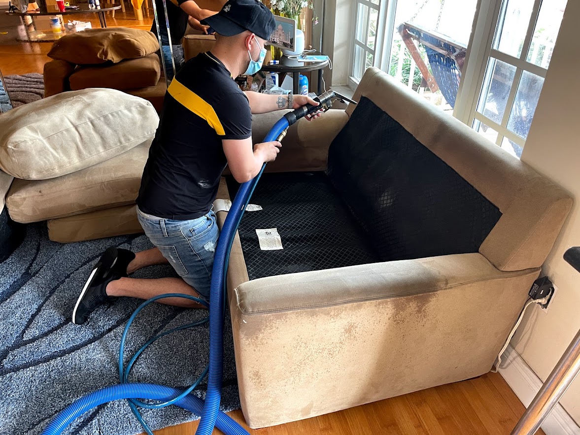 Contact Us Sofa Cleaning Los Angeles