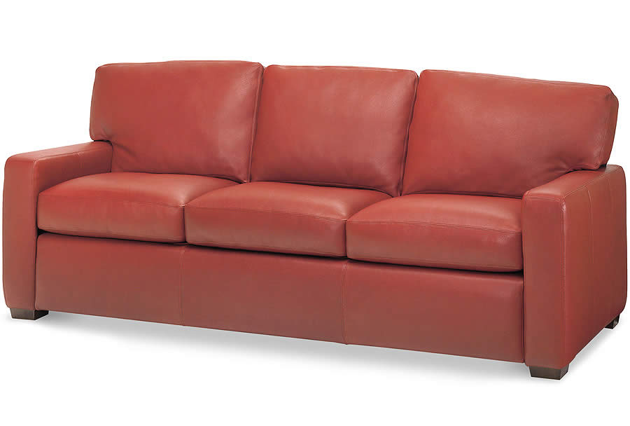 Cassidy Sleeper Sofa Sofas & Chairs of Minnesota