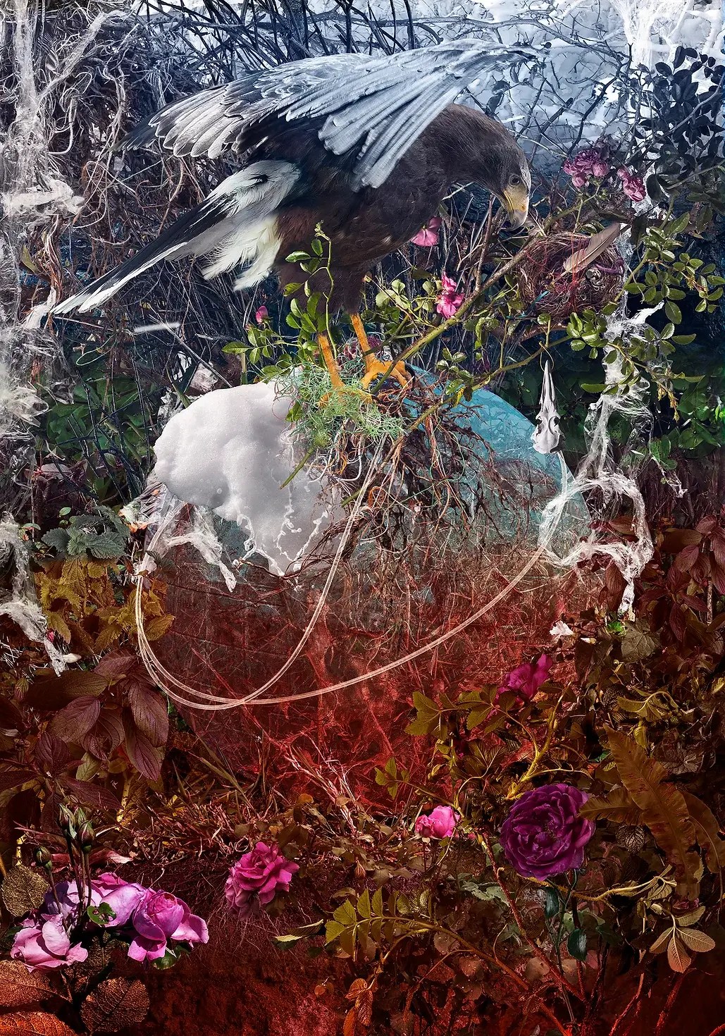 Entangled SO Fine Art Editions Contemporary Art Gallery