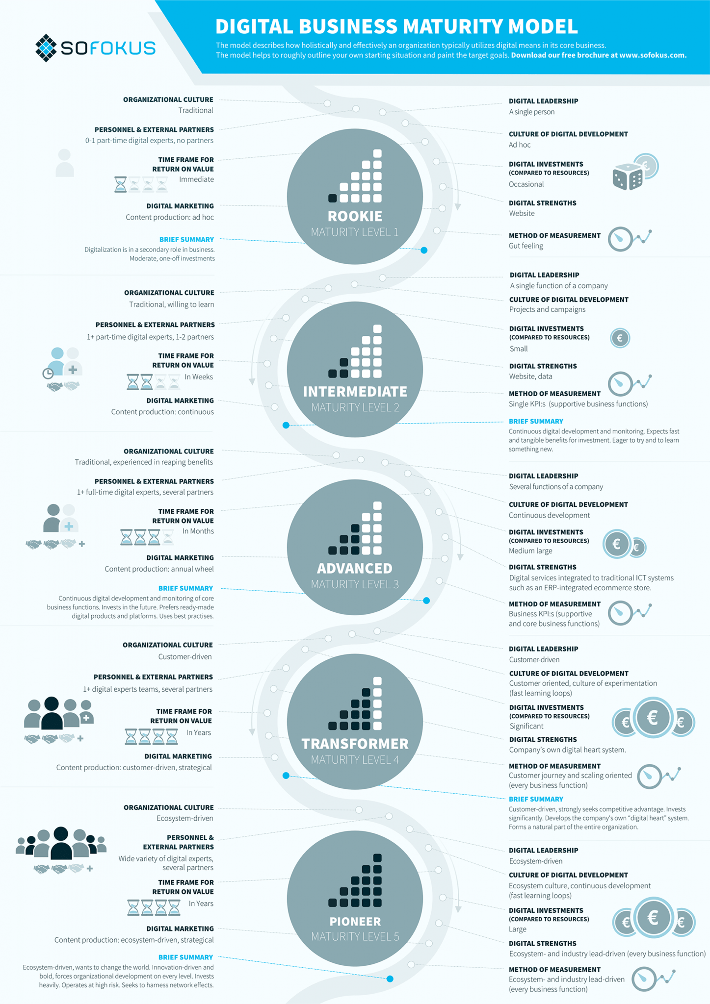 Digital business maturity model Sofokus