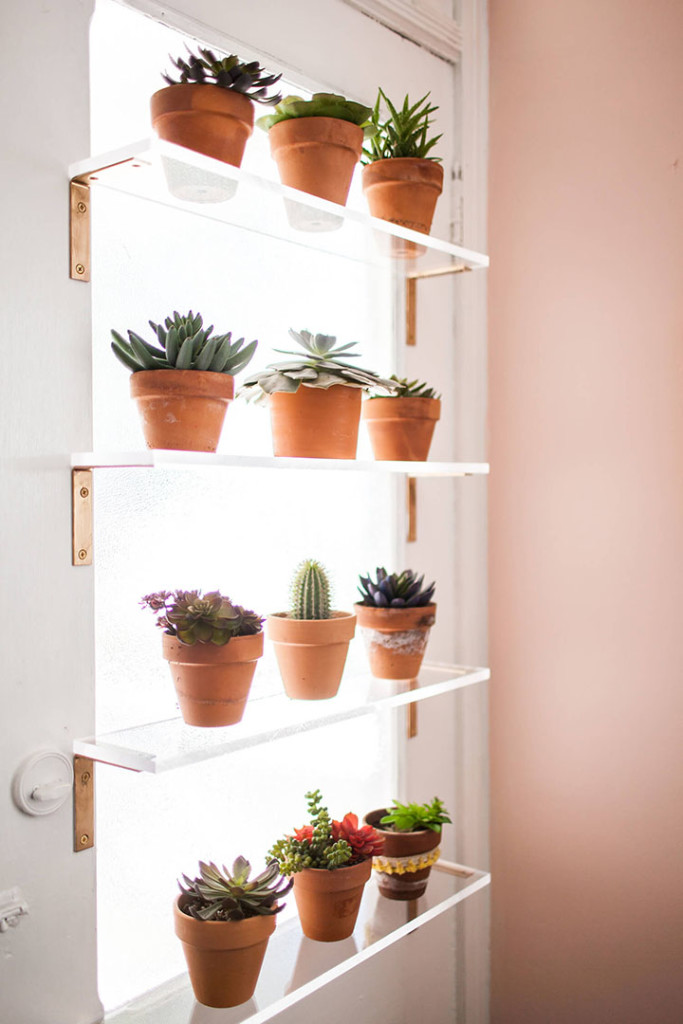 [For the Home] 7 Stylish Ways to Display Houseplants! So Fresh & So Chic