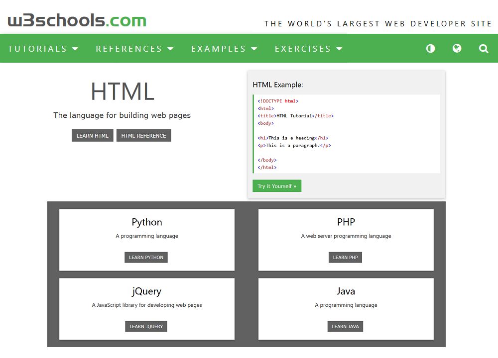 Learn Programming at w3schools with the language of your choice
