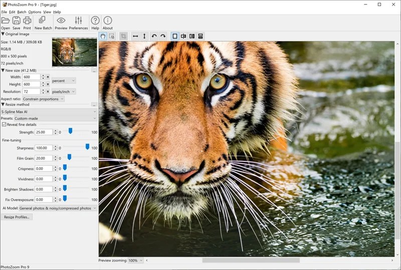 PhotoZoom Pro 9.0.2 by BenVista Download
