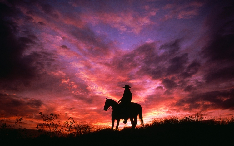 Cowboy Theme for Windows 10
