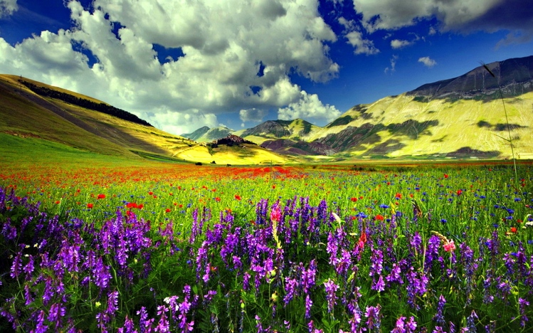 Spring Theme for Windows 10