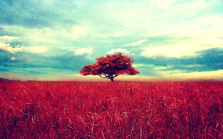 Tree Theme for Windows 10