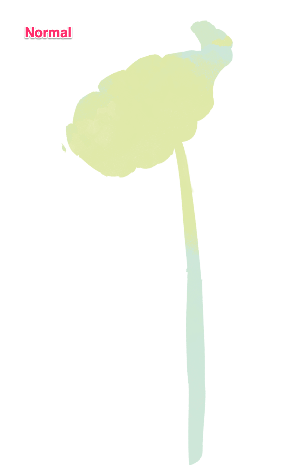 How to Use Blending Modes in Clip Studio Paint