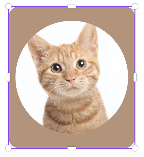 2 Quick Ways to Create a Facebook Frame in Canva