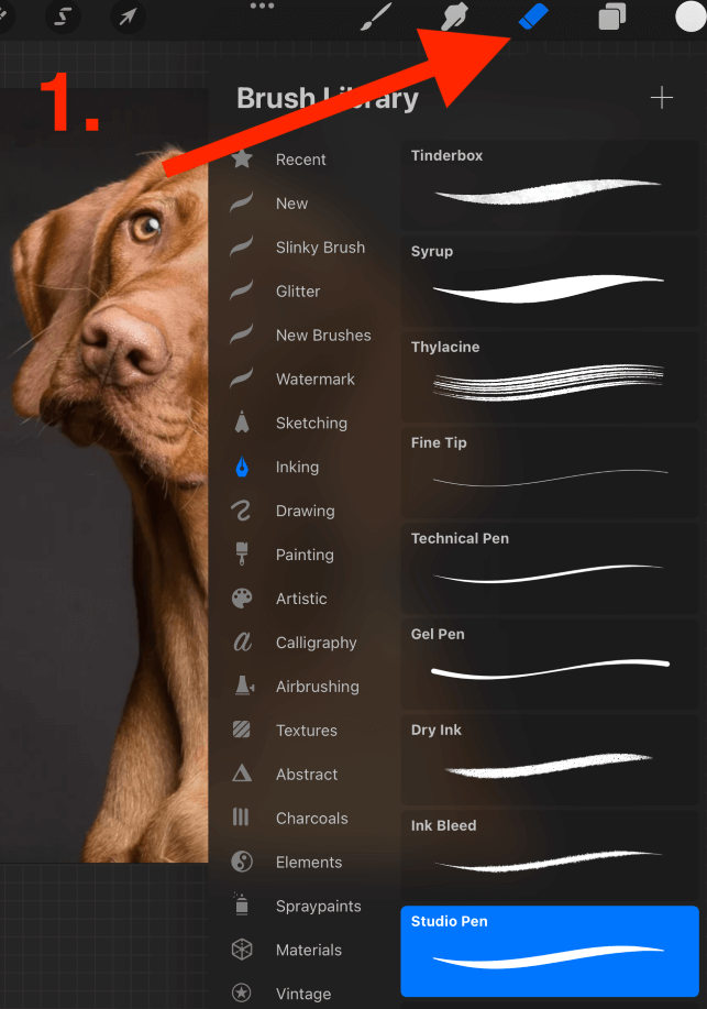 How to Save Procreate File with Transparent Background