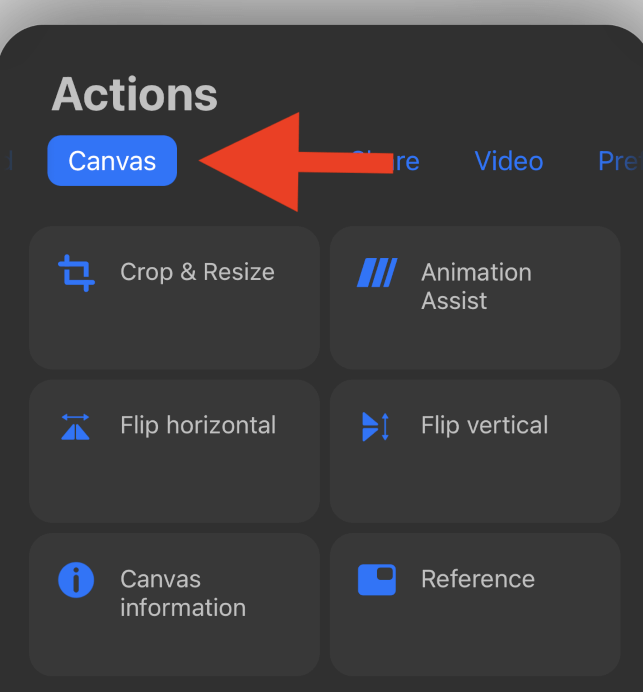 How to Use Procreate Pocket (Get Started with 5 Tools)