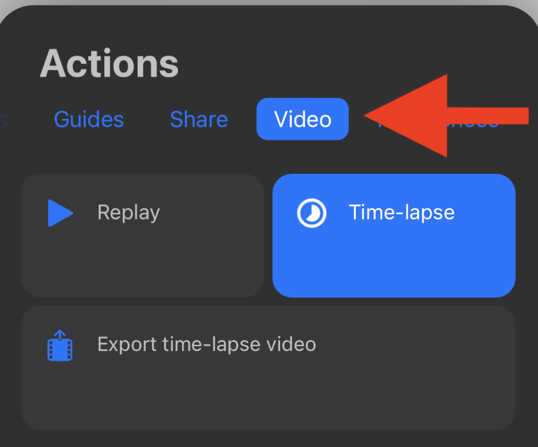 How to Use Procreate Pocket (Get Started with 5 Tools)