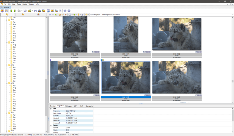 Best Photo Management Software in 2020 (Unbiased Review)